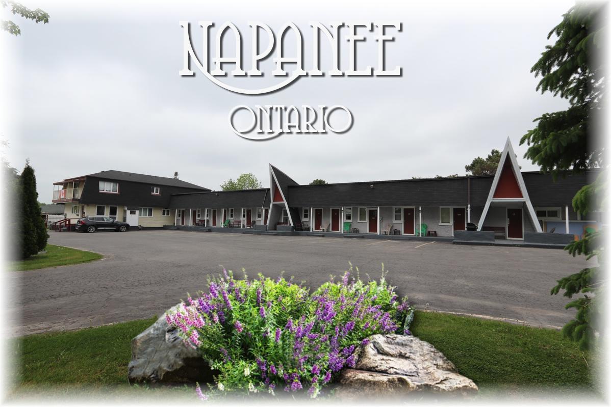 Twin Peaks Motel Napanee Exteriér fotografie